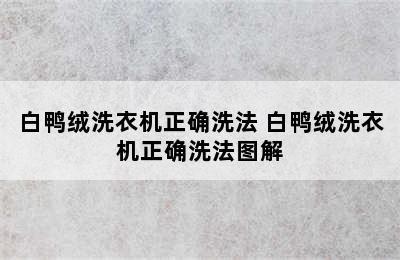 白鸭绒洗衣机正确洗法 白鸭绒洗衣机正确洗法图解